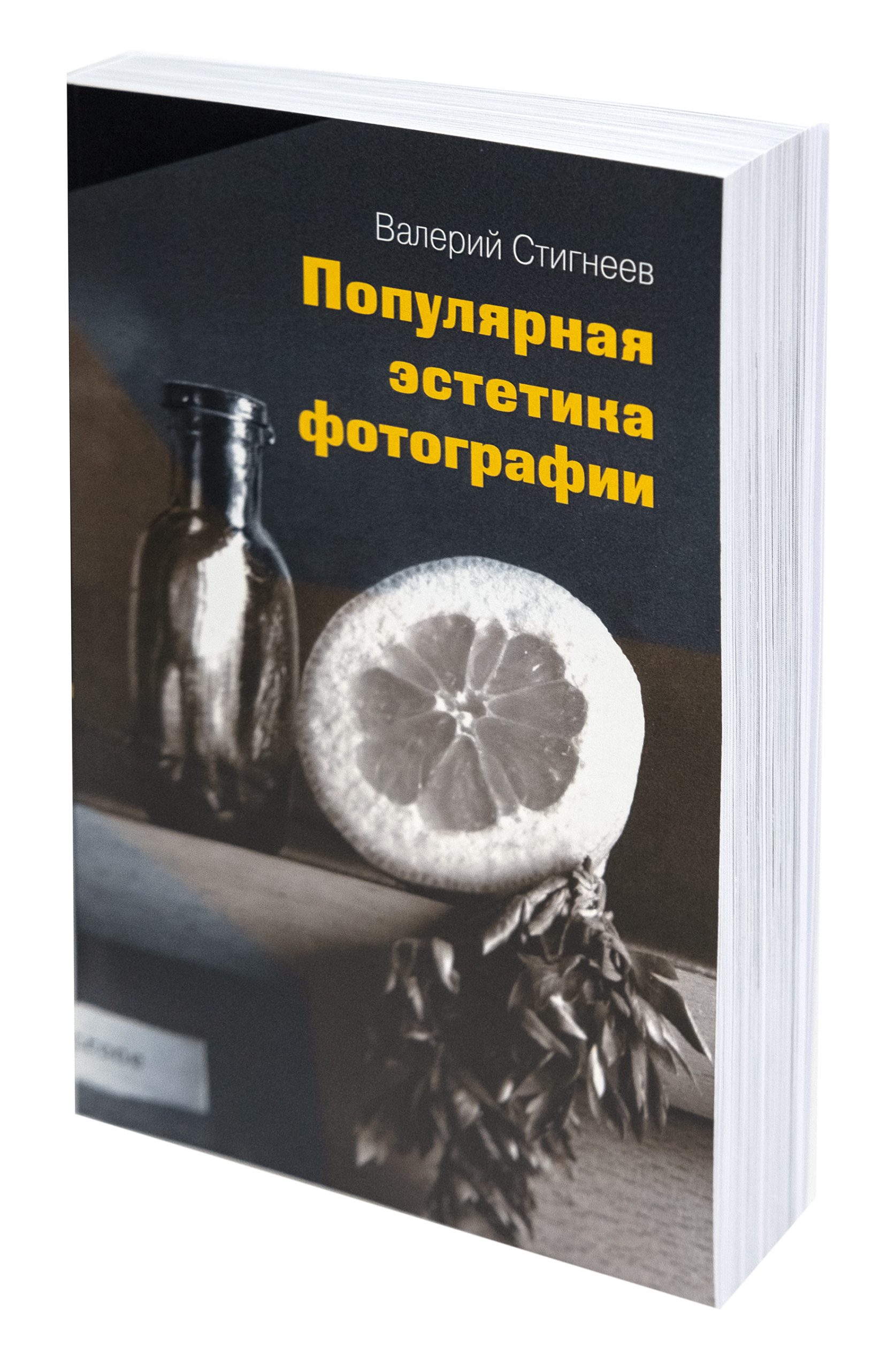 Валерий Стигнеев Популярная эстетитка фотографии